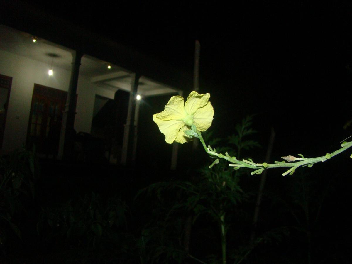 Thuruliya Residence Sigiriya Ngoại thất bức ảnh