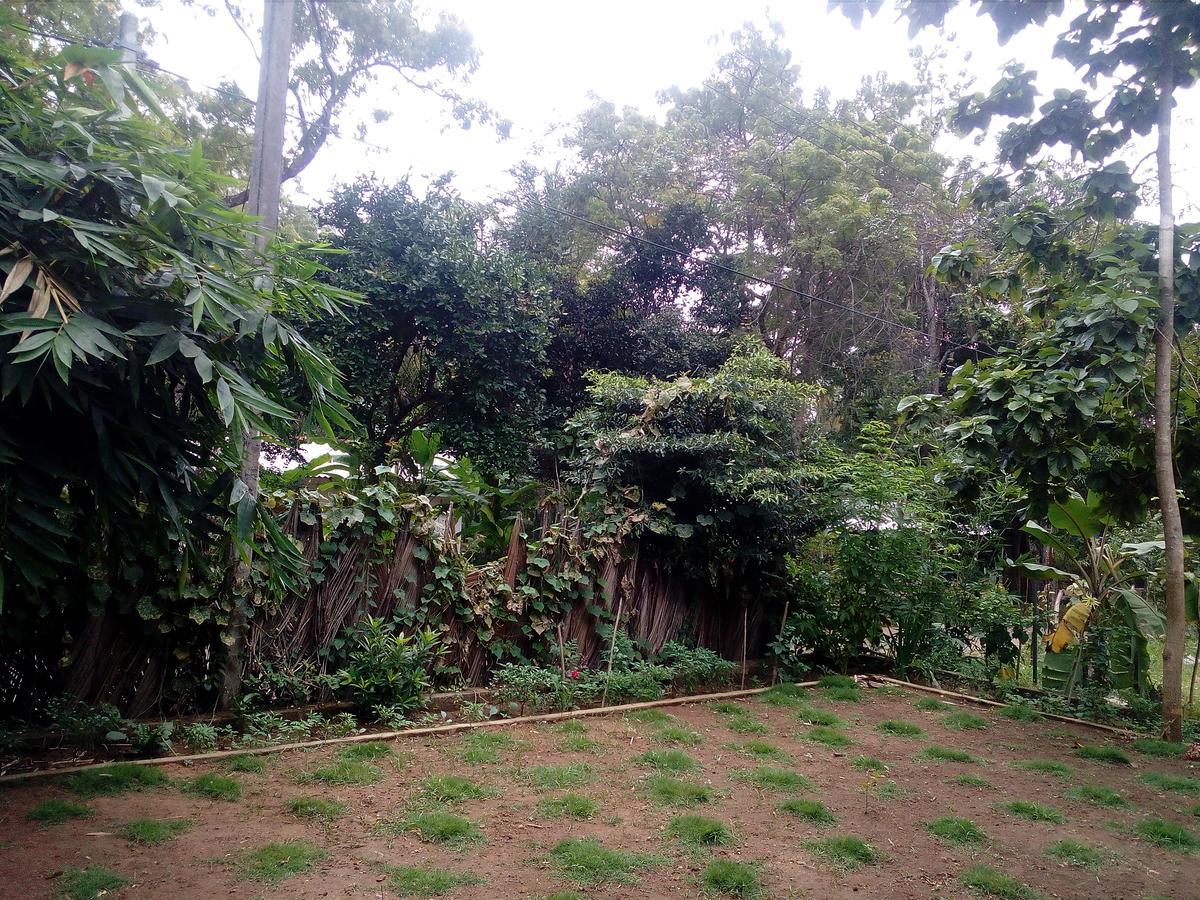 Thuruliya Residence Sigiriya Ngoại thất bức ảnh